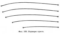Фиг. 109. Нервюры крыла